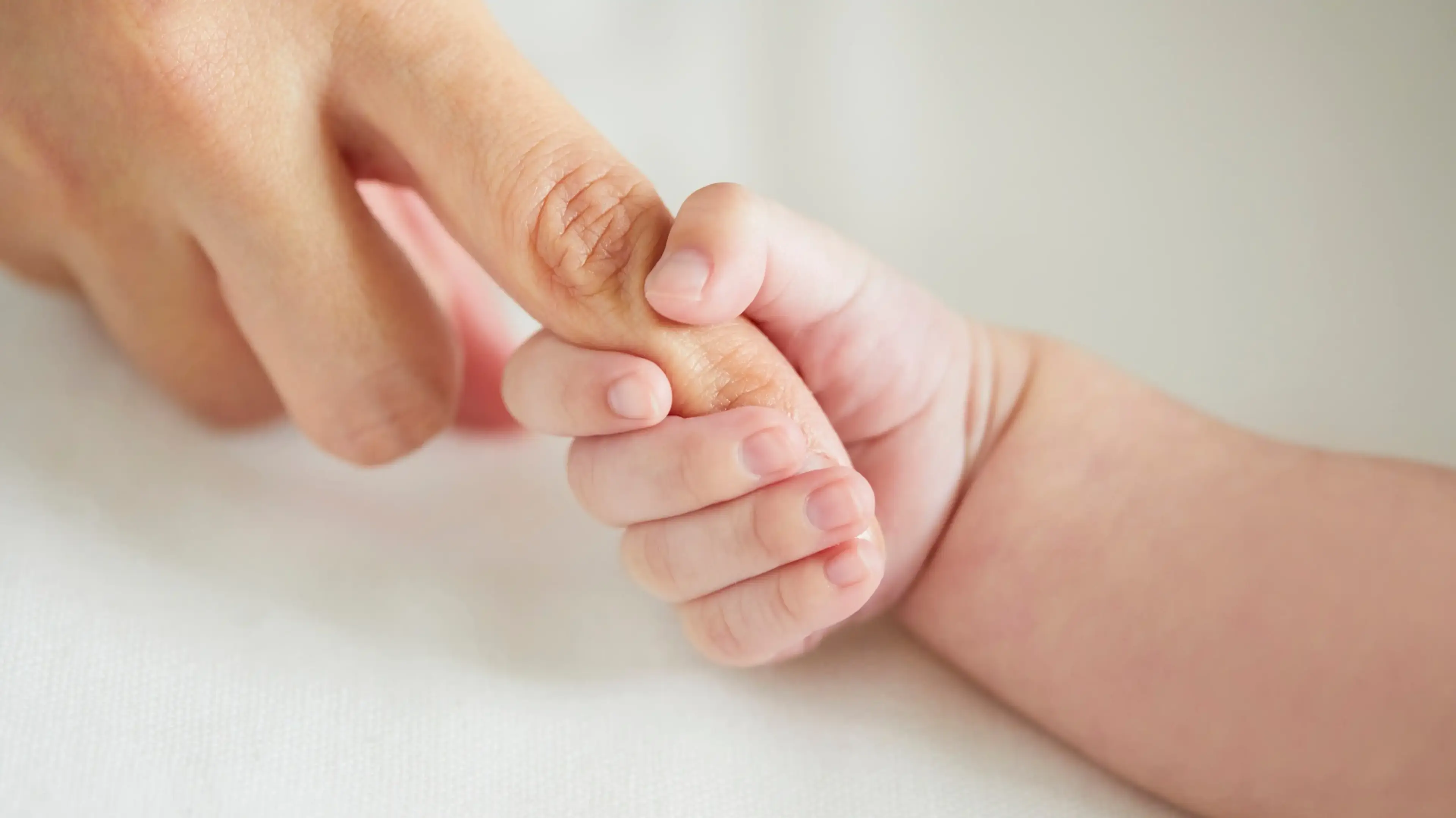 Newborn baby holding a parent's finger